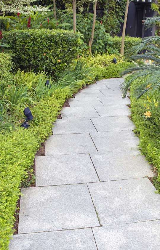 A picturesque stone pathway bordered by neatly trimmed greenery and vibrant plants, showcasing professional landscape design services in Etowah, NC.