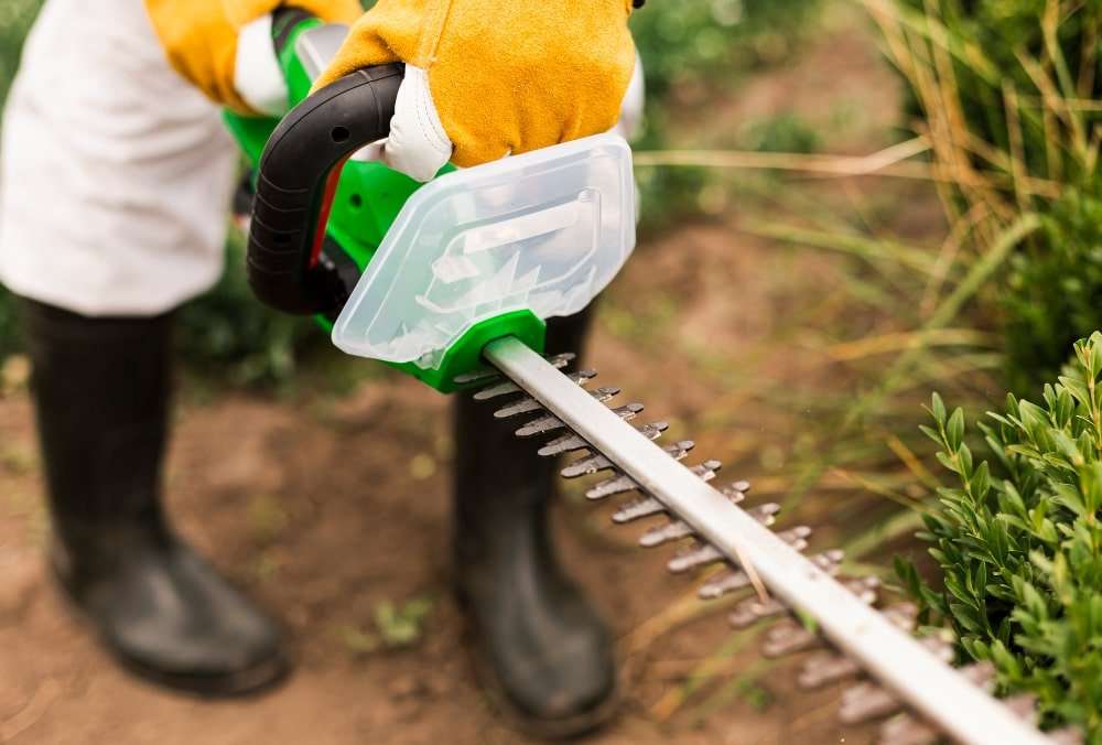 Close-up of a professional landscaper in Etowah, NC, using a hedge trimmer to shape bushes in a well-maintained garden, showcasing expert landscaping services.
