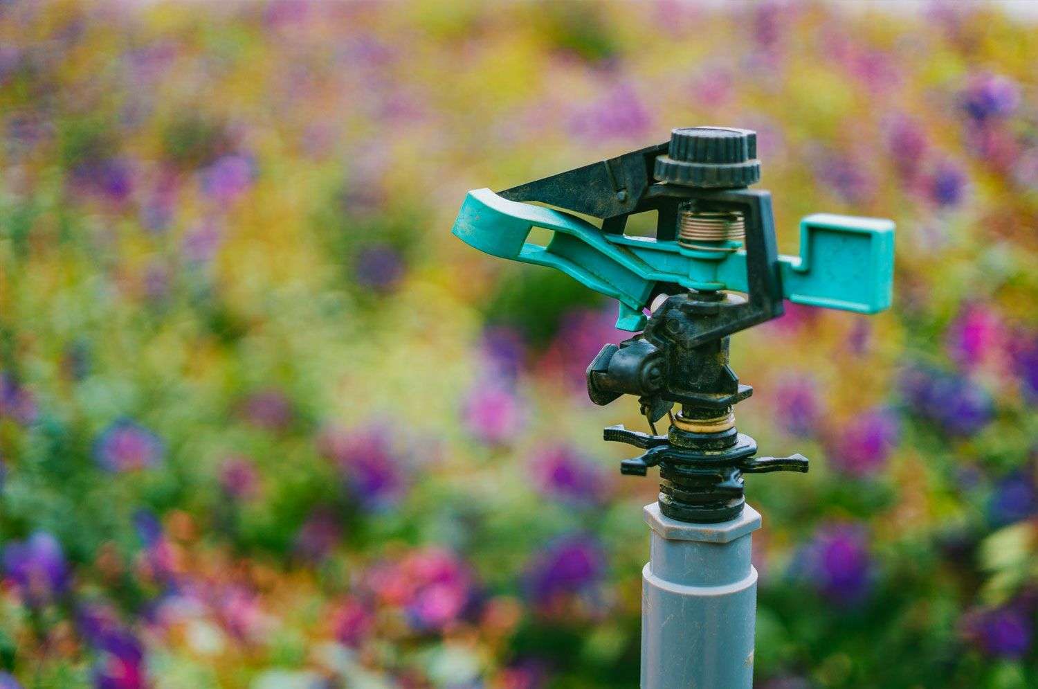 Lawn sprinkler in focus with colorful flower garden backdrop, representing efficient yard care and landscaping services by Laughter Family Hardscapes.