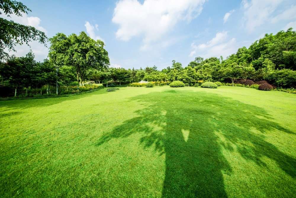 How Retaining Walls Can Transform Etowah Landscapes