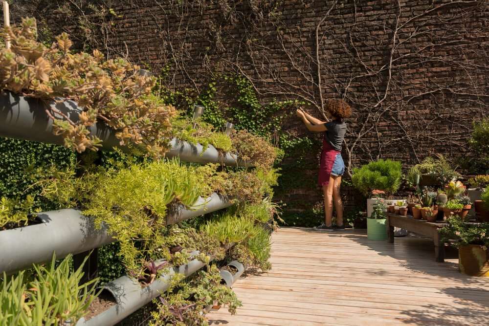 Young woman tending to vertical garden with succulents and greenery, enhancing outdoor space for gardening and landscaping.